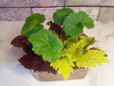 ����������: ����� ������ �� ���������� ��������