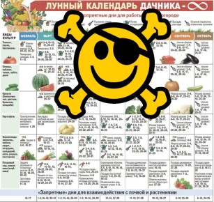 ������ ���������: ���� ��� ���� ��� ���������?