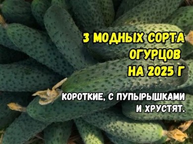 ��������� ������ ��� ������ �������: ��� ����� � �������� ������