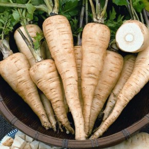 ���������: ������� ���������� ��������� �� ����� ��������