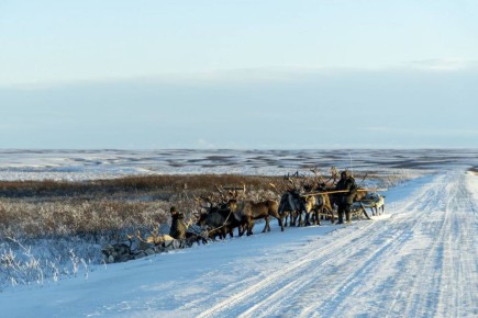 � 2026 ���� �������� �� ������������ ��� ������������� � ������� 456,3 ��� ������