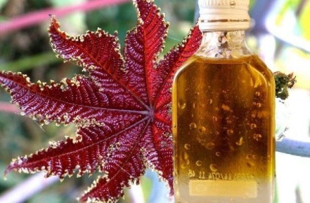 ������������� ����������� ����� � ������ � ����������� � �����������