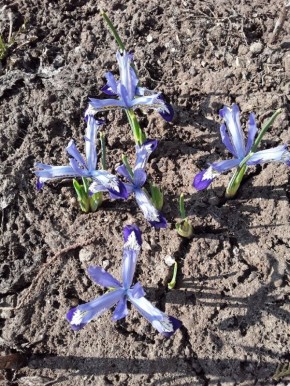 ����� ���������: ������ � ������� � �������� ����