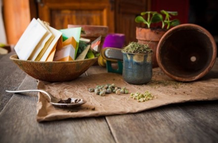 Садовые заботы: что делать в конце января и начале февраля