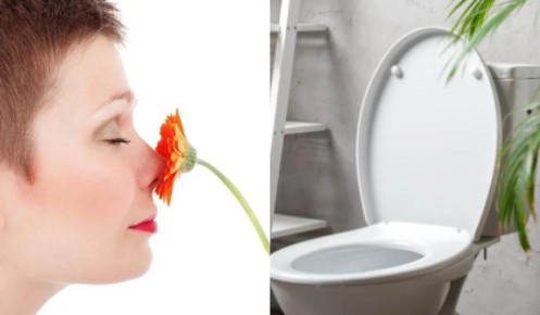 ��� ������� ������ ������: ������� � ����������� �������