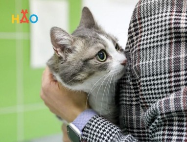 ���� ������ � ���� ��� ����� ����������� ������ �� ������������ ����� � �����