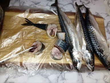 ������������ ������ ����������� ��������: ������ � ������