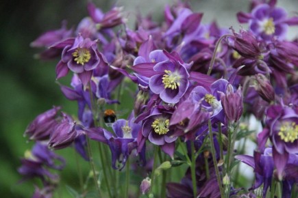 ������� �� ������ �����: ������ ����� ��� ������ ����