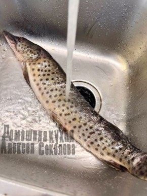 ������� �� ���� � ������ ������ �����: ��� ������� �� �����������