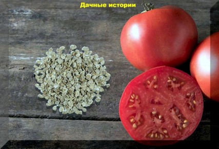 Советы по выращиванию томатов: от семян до сбора урожая