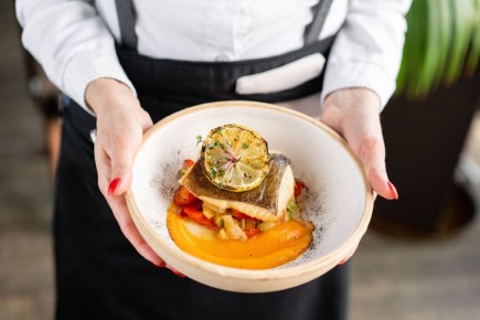 Как приготовить щуку: простые и изысканные рецепты на любой вкус