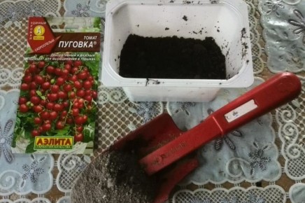 Как вырастить томаты в домашних условиях зимой: полезные советы