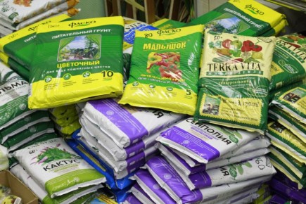 Как выбрать идеальный грунт для рассады: секреты для успешного роста