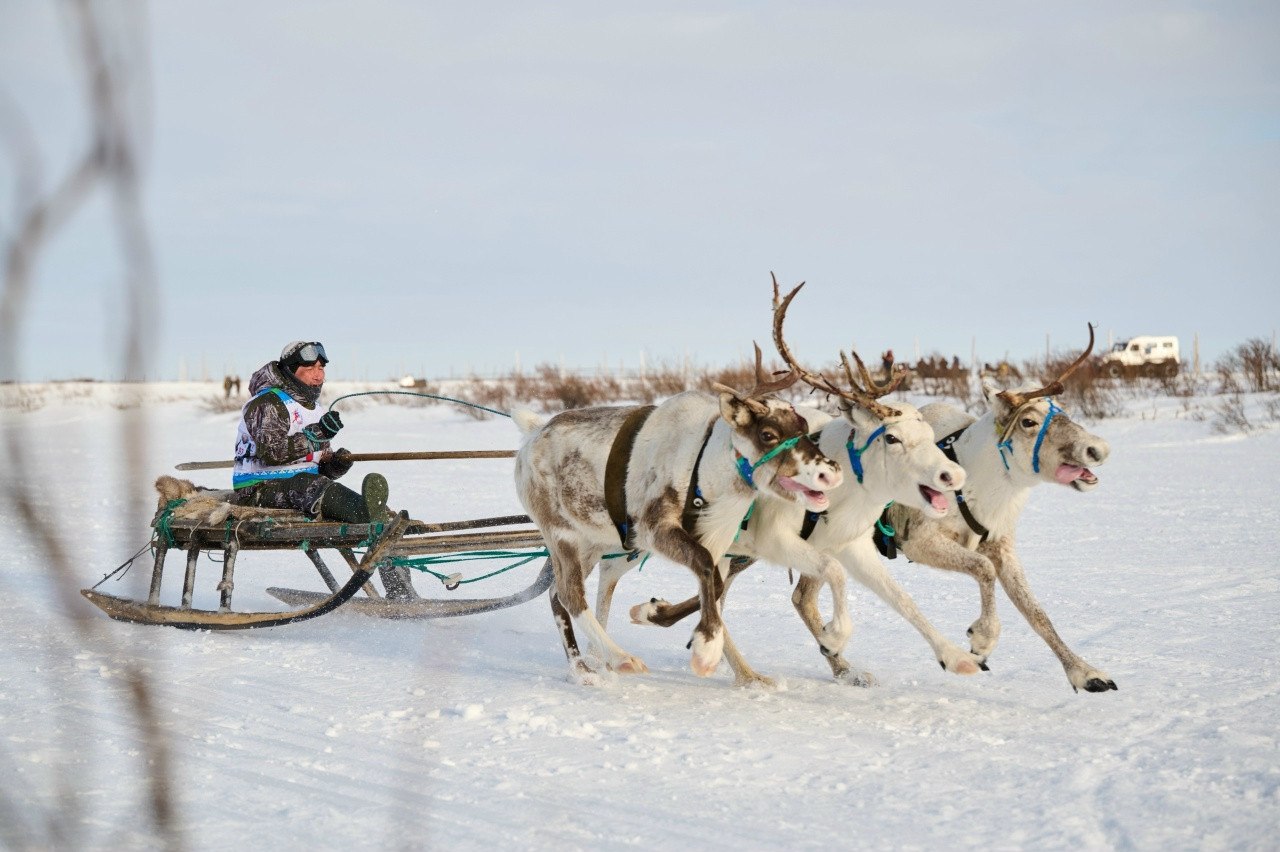 В Нельмином Носе отметили ненецкий праздник весны В Нельмином Носе отметили ненецкий праздник весны