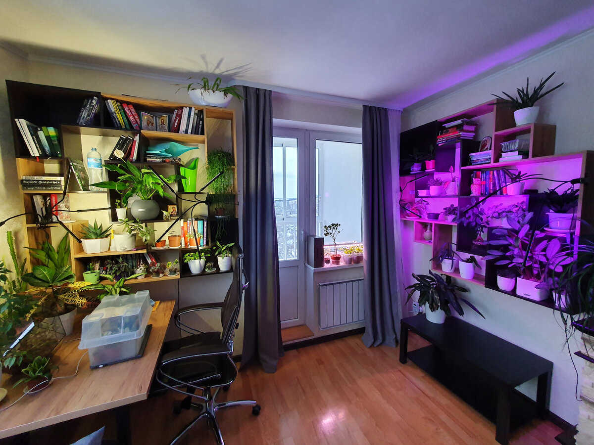 Как выбрать фитолампу для домашних растений: проверенные варианты и полезные советы