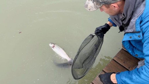 ��� �������� ������: ������� ��������� ��������