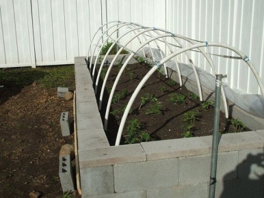 ������ �� ������� ������: ������� ��������� ������� ��� ������