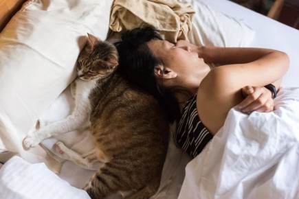 ������ ���� ����� �� ���� ��� �����: ����������� ������� � �������