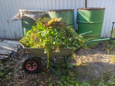 �������� �������� �� ���: ������� ������