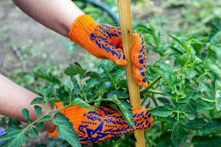 ��� �������� ������������� ������ �������: ������� �������� �������