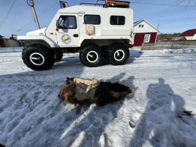 � ��� ����������� �������� ���������� ����� �� ������ �������