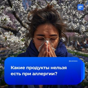 ������ ������� ����� ������� ���� ��������