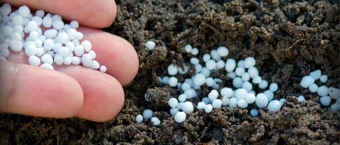 Калийные удобрения: Как правильно использовать, чтобы не навредить растениям и почве