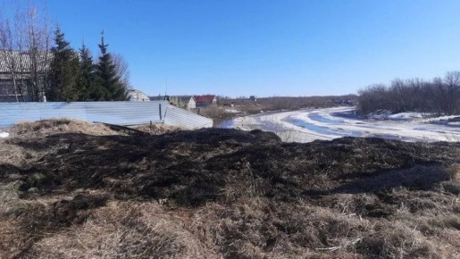 Житель Неси чуть не лишился дома из-за горящей травы в собственном дворе