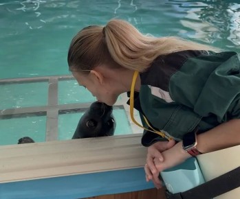 Зачем ехать в Ярославль: привет от байкальских нерп кольчатым