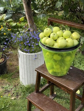 ��� ��������� ������ �����: 7 ������� � ������������ �������� �� ����