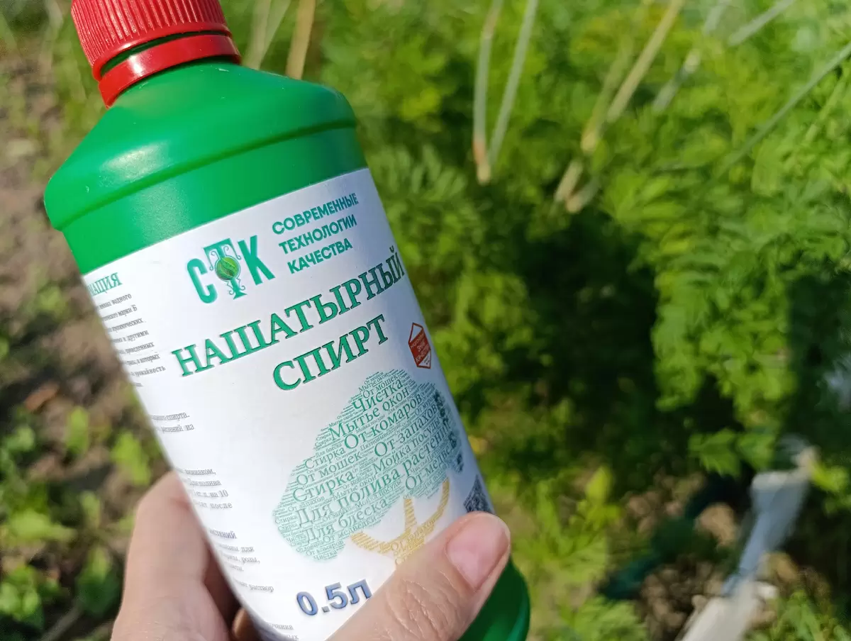 Как нашатырь может стать незаменимым помощником в вашем саду