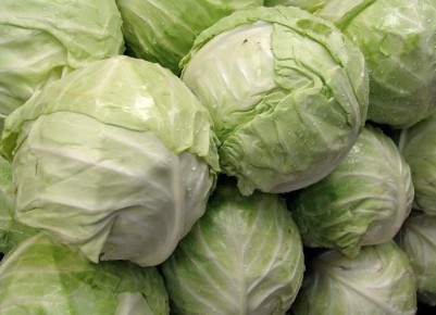 ������ ����� �������: ������ ������� � ������ ���������� ������� �����