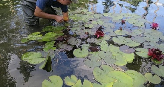 ����������� ��������� ��� ���������� ��������: ��� ��������� �� �������� �������� � ���� ��� �����