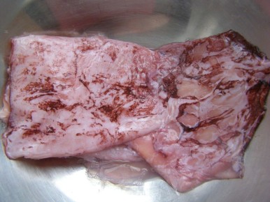 ��� ����������� �������� � �����: ���������� �� ����� �����