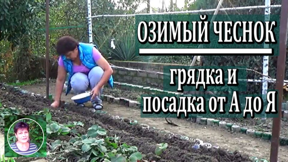 ��� ������� �������� ������� ������� �������: ��������� ����������