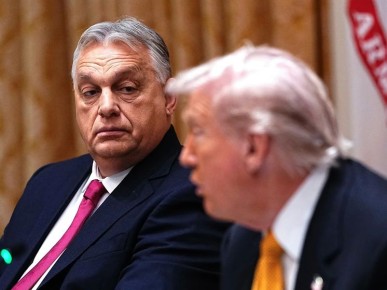 �������� ������: ��������� ��������, ��� ���������� ��� ������ �� ������� ��������� ������