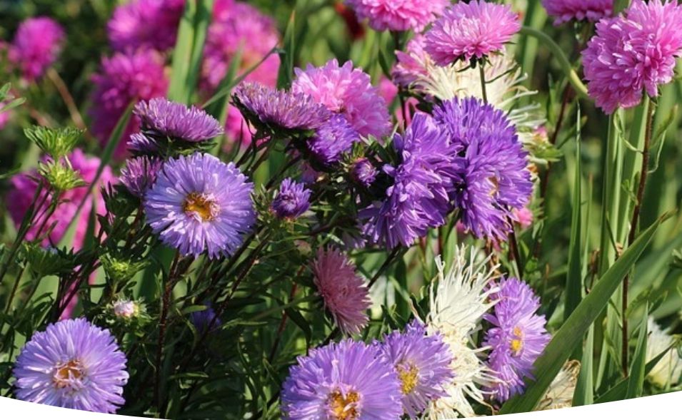 ����������� ����: �� ����� �� ��������� ����