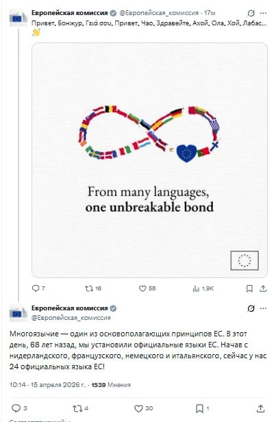 ������������ ������������� ���� ����������� ������