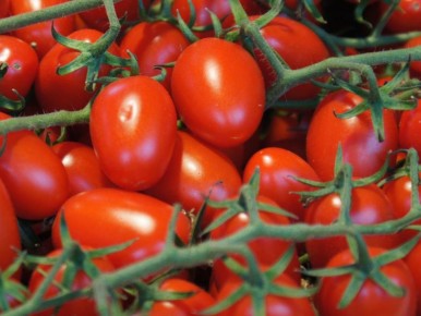 ������: ����� ��� ������� � ������� �������