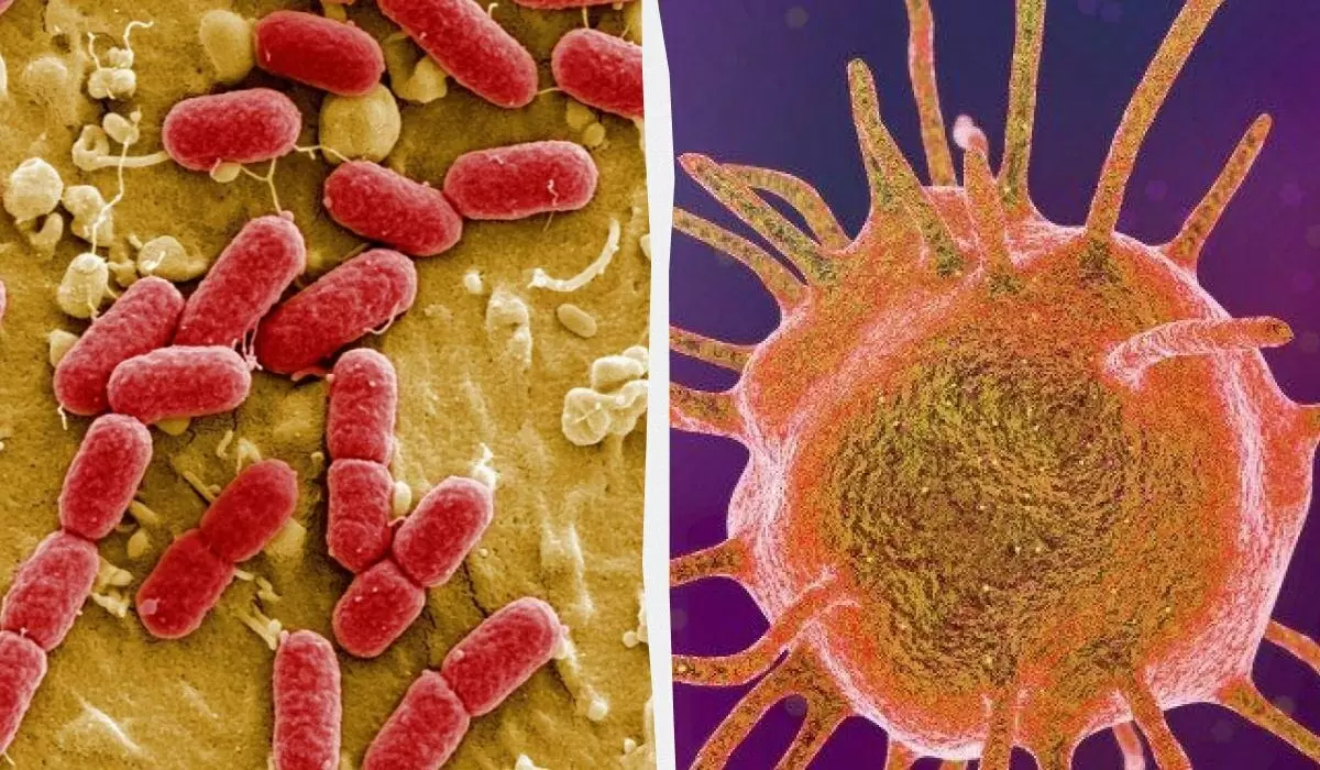 Забытая жизнь: микробы, спящие миллионы лет под землей