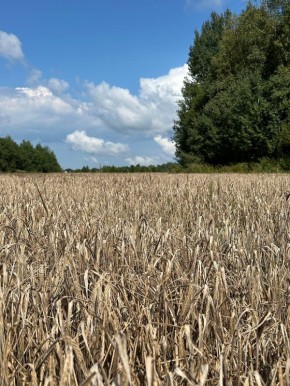 30 ������� �������� �������: ��� ������� ���� ����� ���� ������������