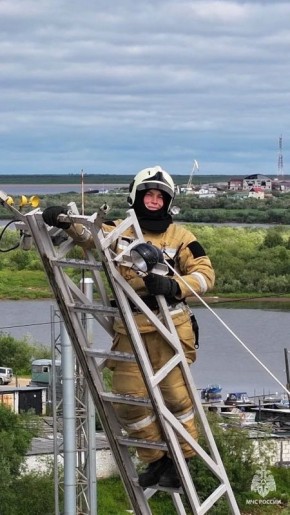 ���� �������� ������ ���. �������� �������