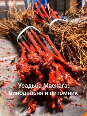 ������� �������: ����� ��������� ������� �������