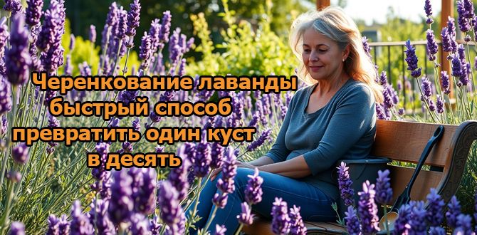 ��� ������� ����� �������: ������� ��������� ����������� ���������