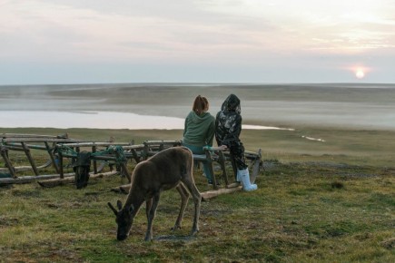 � �������� �� ������� ��� ������