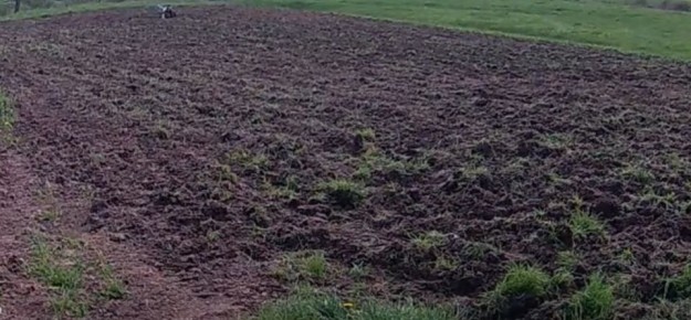 ��� �������� ����� ����������� ���� ����� ����� ����� ������ �������