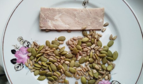 ��� ���������� �� ����: ������������ ��������� ����� �� ����� �����