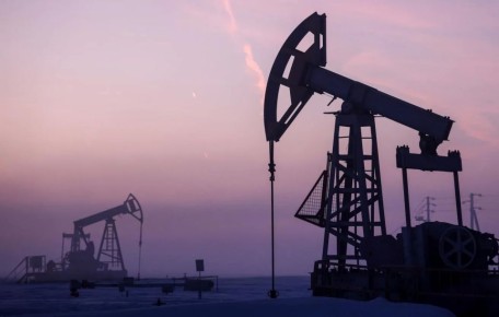 ������� �����: ������� ���������� ����� � ����� � ������ �������� 2026 ���� ����� �� 31%