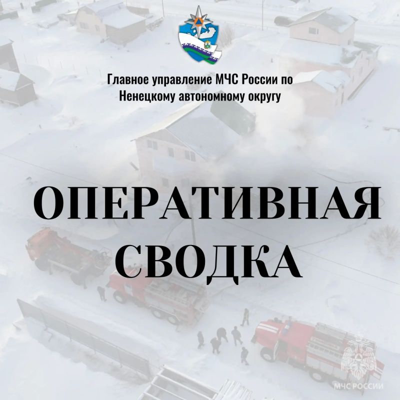 #��������������������. �� 20 ������ �� ���������� ��������� ����������� ������ ������� �� ����������������