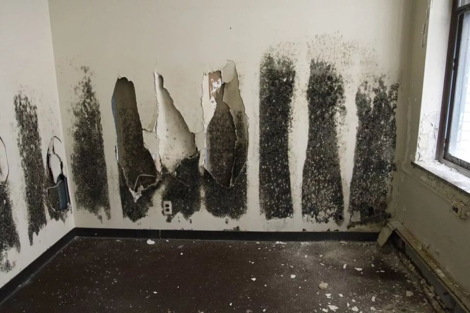 ��������� �������: ��� ��� ������ �� �������� � ��� � ��� ������